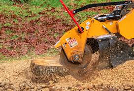 Best Lawn Watering Services  in Annandale, VA